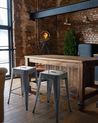 Set of 2 Bar Stools CABRILLO Metal Grey