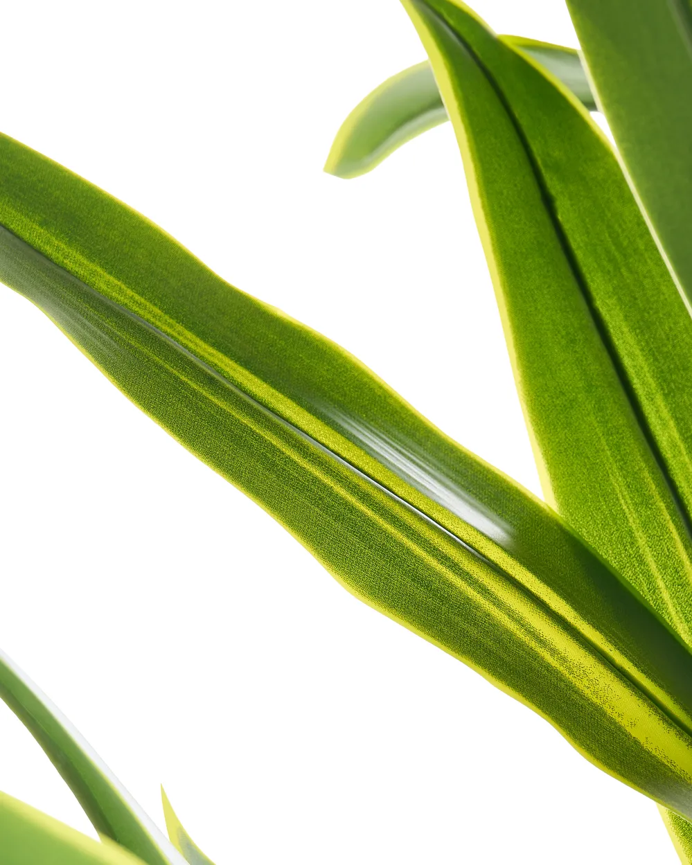 Kunstpflanze DRACAENA TREE 150 cm Grün_1103909