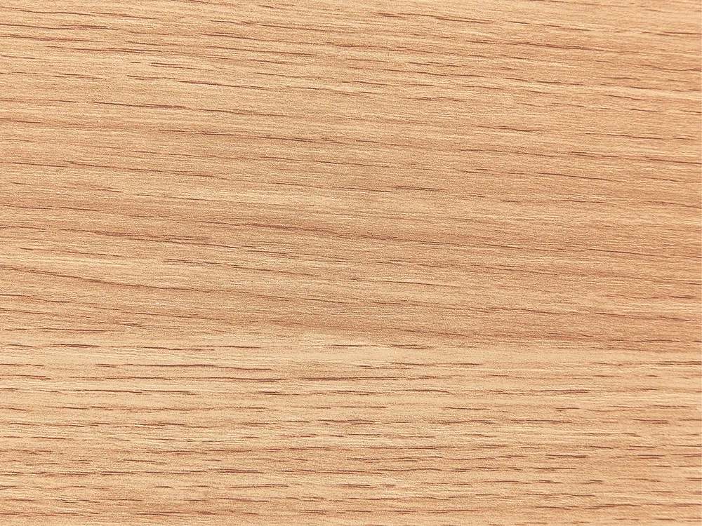 Sideboard mit 2 Türen LANSIN Hellbraun_832802