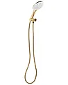 Shower Head and Hose Kit IQUIRA 4-function Gold