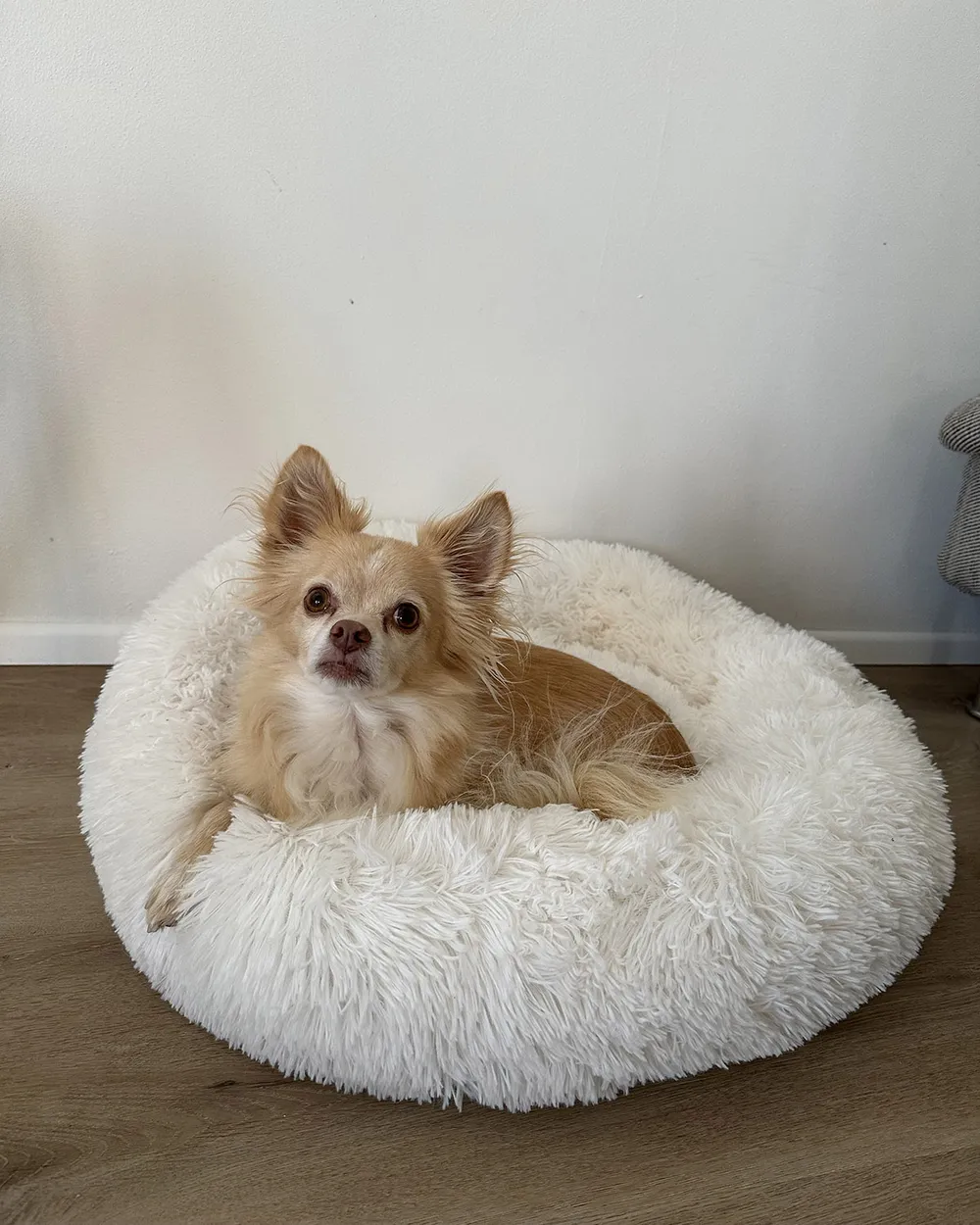 Pet Bed KULU Faux Fur Off-White_895186