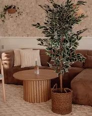 Artificial Plant FICUS 167 cm Green_933513