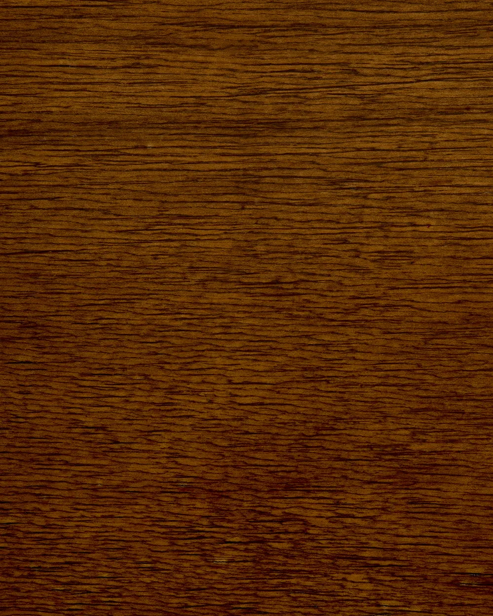 Set of 2 Dining Chairs MINIER Wood Green/ Dark Brown_1013744