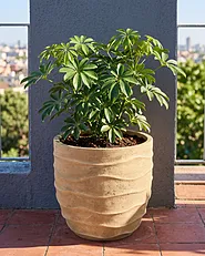 Plant Pot SAMNAUN 39 cm Beige_1161972