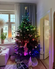 Lichterkette Smart LED mit App IGALIKU 13.5 m Bunt_1041556