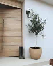 Blumenkübel LIXOURI 47 cm Beige_1032364