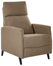 Recliner Chair SELVIK with Footrest Fabric Brown_1039021