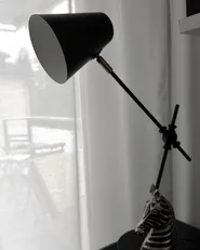 Lampe de bureau HORTON Réglable Métal Noir_1047989