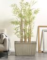Blumenkübel SISAL 73 cm Beige