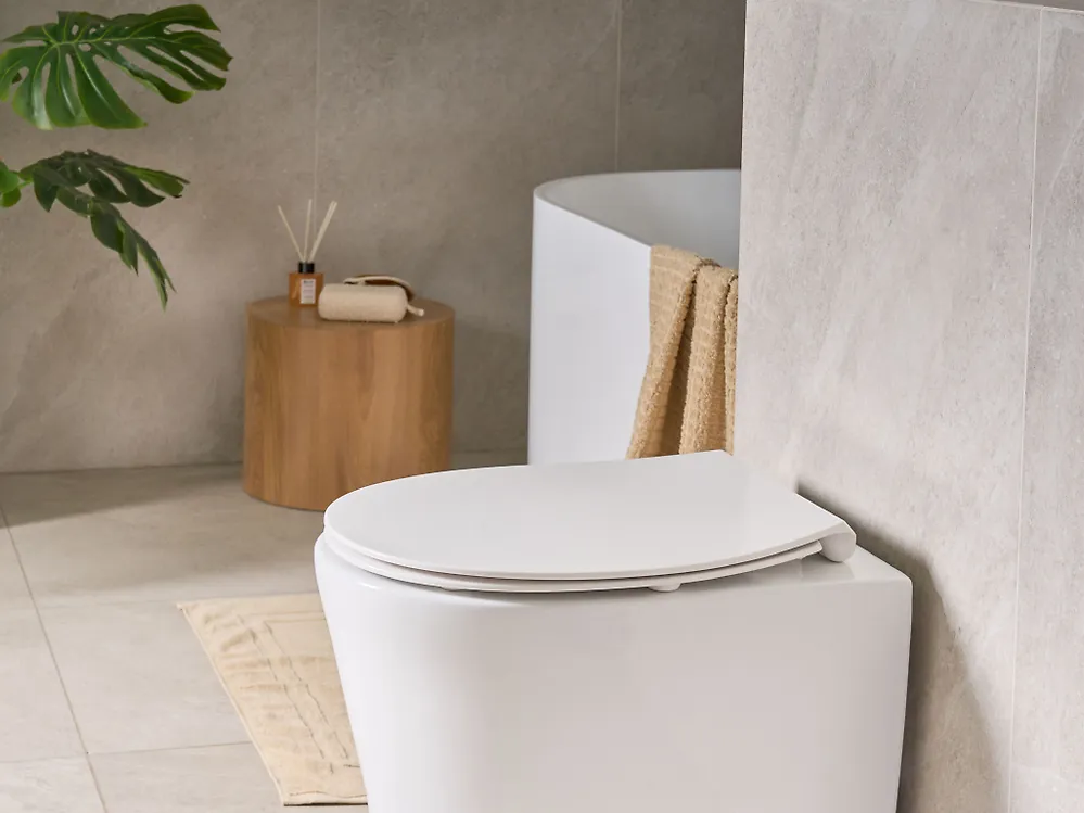 Toilet Seat PUTUMAYO Slim Soft Close Duroplast White_1179101