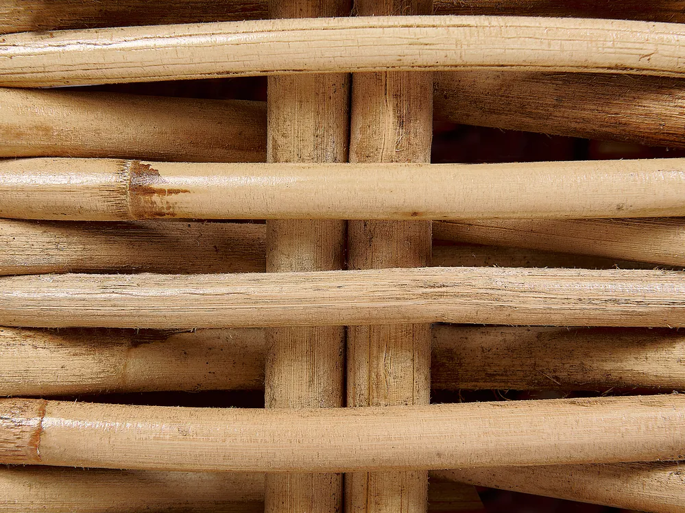 Sonnenliege mit Kissen BELSITO Rattan Naturfarben_928043