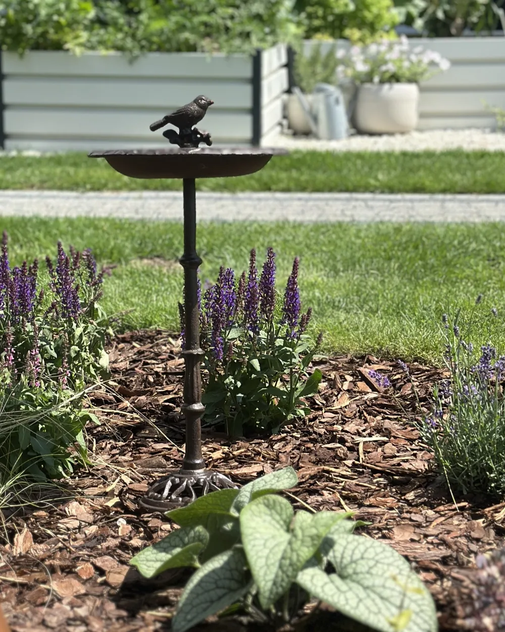 Bird Bath SWALLOW Brown_1012496