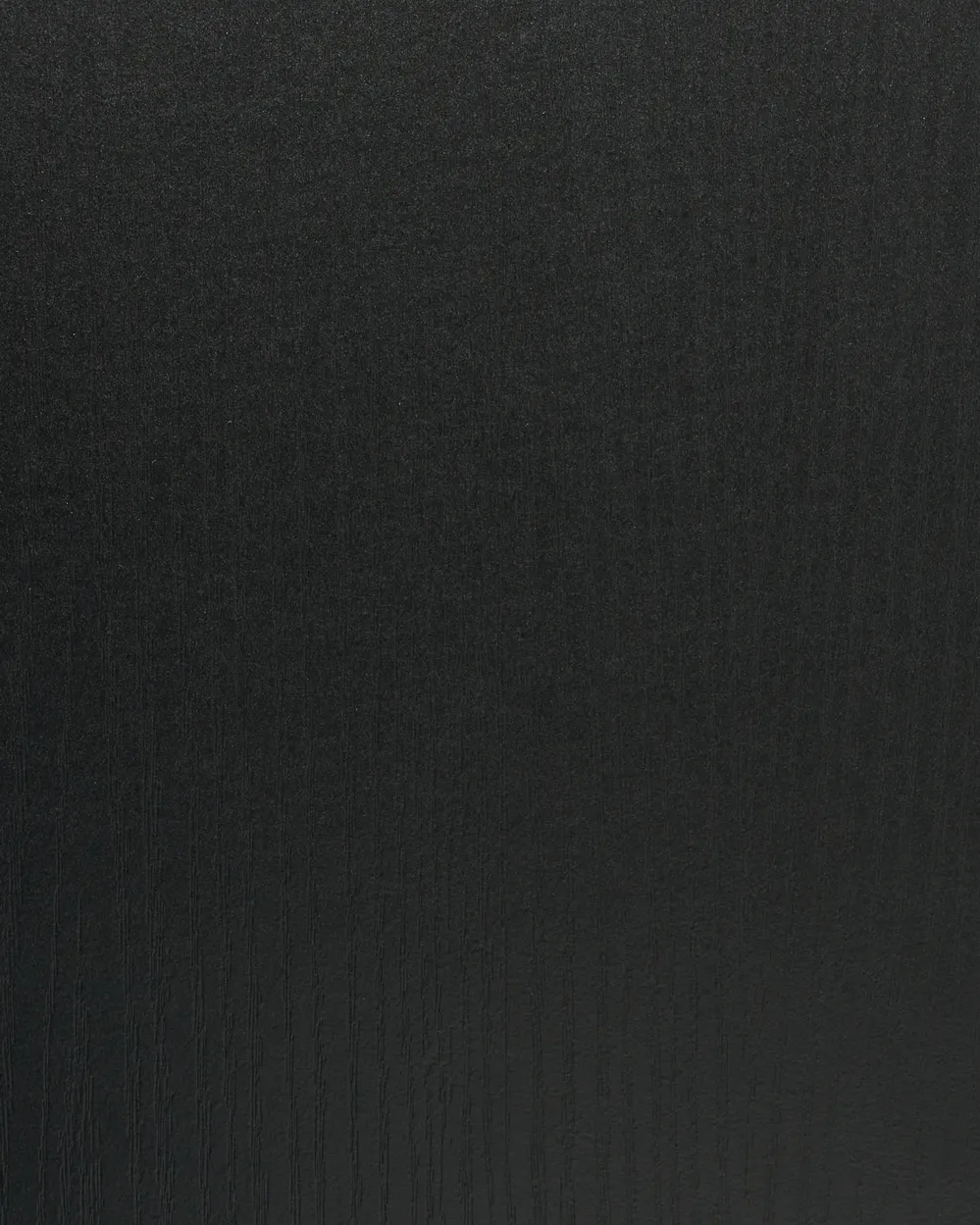 Schuhschrank BICHENO Schwarz_1076297