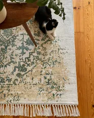 Rug BOYALI Light Beige 80 x 150 cm Viscose_983216