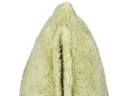 Dekokissen 2er Set PILEA 45 x 45 cm Webpelz Hellgrün Ohne Muster_839906