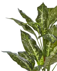 Artificial Plant DIEFFENBACHIA 110 cm Green_917201
