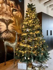 Floor Christmas Decoration PELLO 126 cm Reindeer Gold_818929