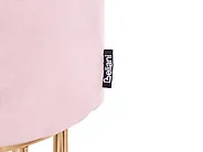 Storage Pouffe ELGIN Velvet Pink_1177802