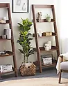 Regal mit 5 Ebenen MOBILE TRIO 167 cm Dunkelbraun