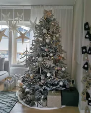 Artificial Snowy Christmas Tree BASSIE 210 cm White_845758