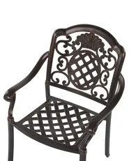 Set mit 4 Stühlen und Sitzkissen SALENTO Metall Dunkelbraun_765565