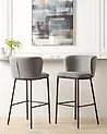 Set mit 2 Barstühlen MINA Grau