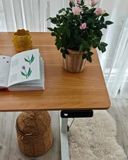 Schreibtisch elektrisch höhenverstellbar TAVARES 120 cm 60 cm Hellbraun / Weiß_1068143