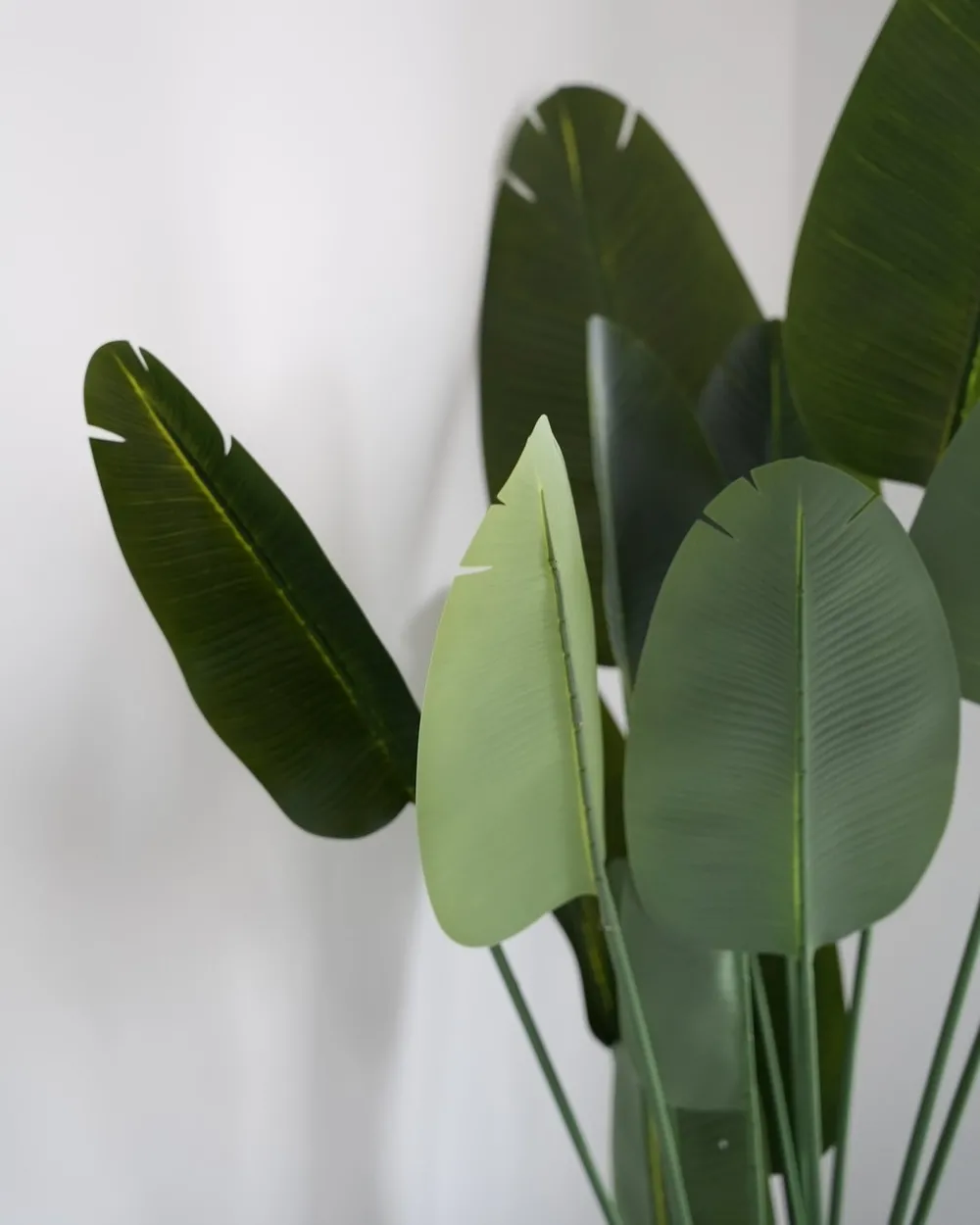 Artificial Plant BANANA TREE 187 cm Green - Beliani.nl