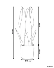 Kunstpflanze SNAKE PLANT 40 cm Grün_822702