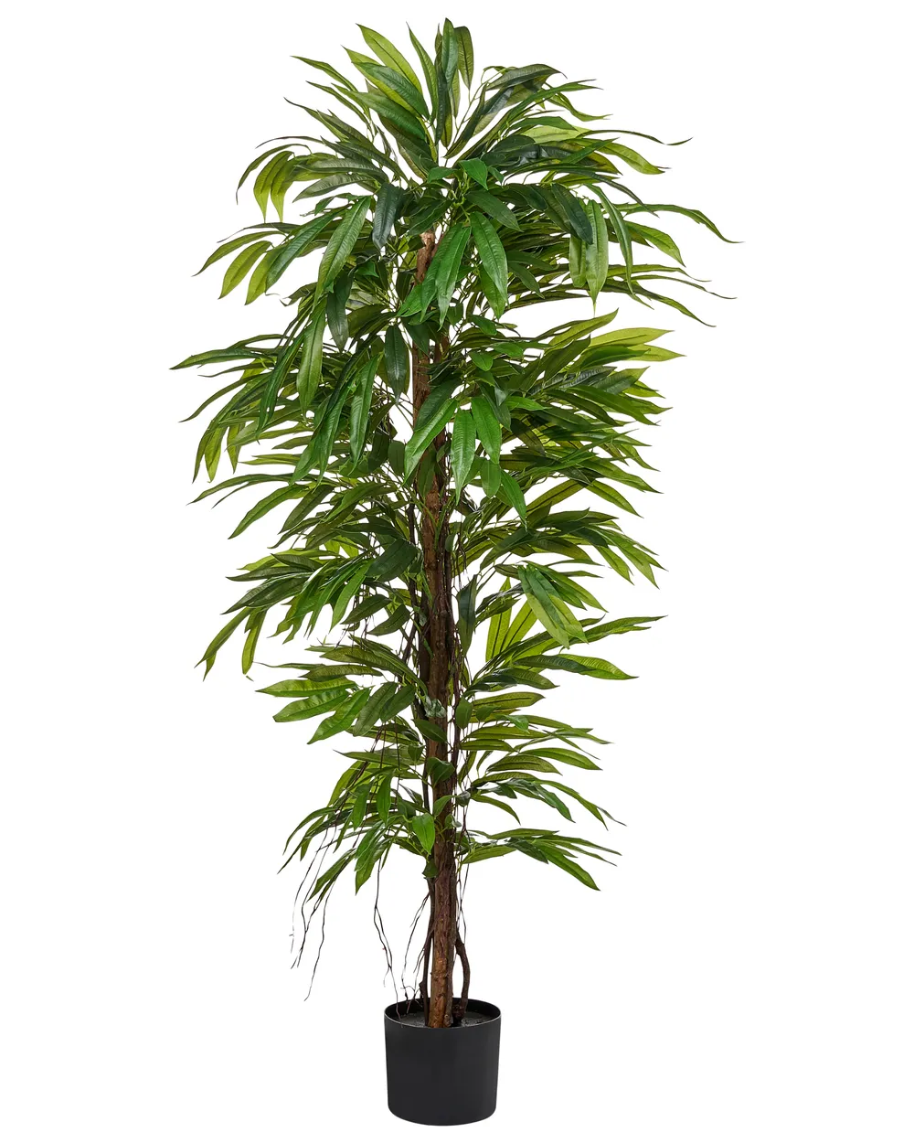 Kunstpflanze LONGIFOLIA 155 cm Grün