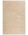 Shaggy-Teppich DEMRE Beige 200 x 300 cm