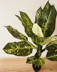 Artificial Plant DIEFFENBACHIA 110 cm Green_1020286