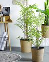 Umjetna biljka BAMBUSA VULGARIS 100 cm Zeleni