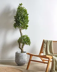 Kunstpflanze LAURELE 160 cm Grün_901025