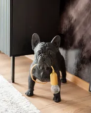 Table Lamp Dog BAXTER Black_1022656