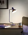 Tischlampe RIMAVA verstellbar Metall Blau