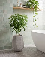 Plant Pot ENSTAL 32 cm Grey_1161755