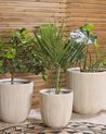 Blumenkübel CHIOS 31 cm Beige