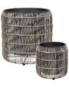 Set mit 2 Blumentöpfen BRODIEA 26/45 cm Polyrattan Hellbraun