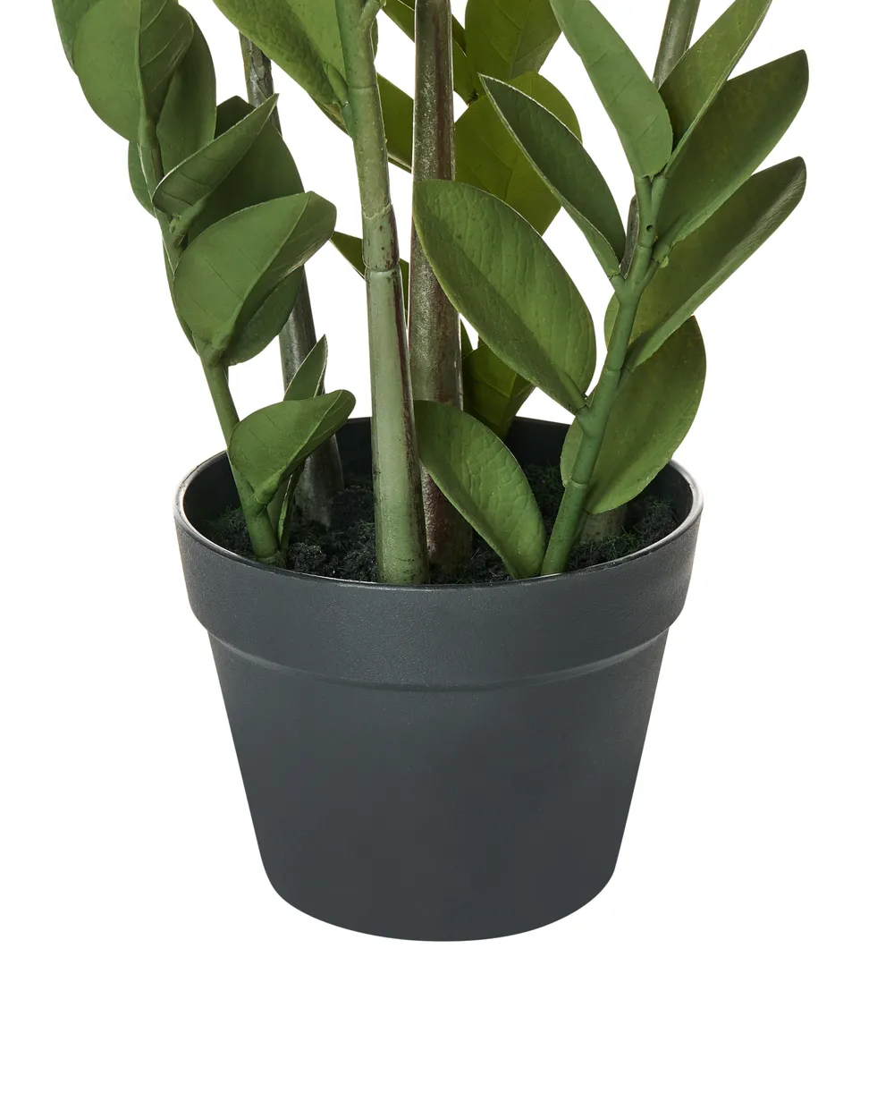 Artificial Plant ZAMIIFOLIA 76 cm Green_994167
