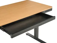 Electric Adjustable Standing Desk PENLY 120 cm 60 cm with USB Port Black/ Light Brown_1031392