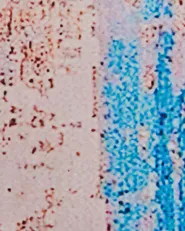 Rug INEGOL Blue 80 x 150 cm_717026
