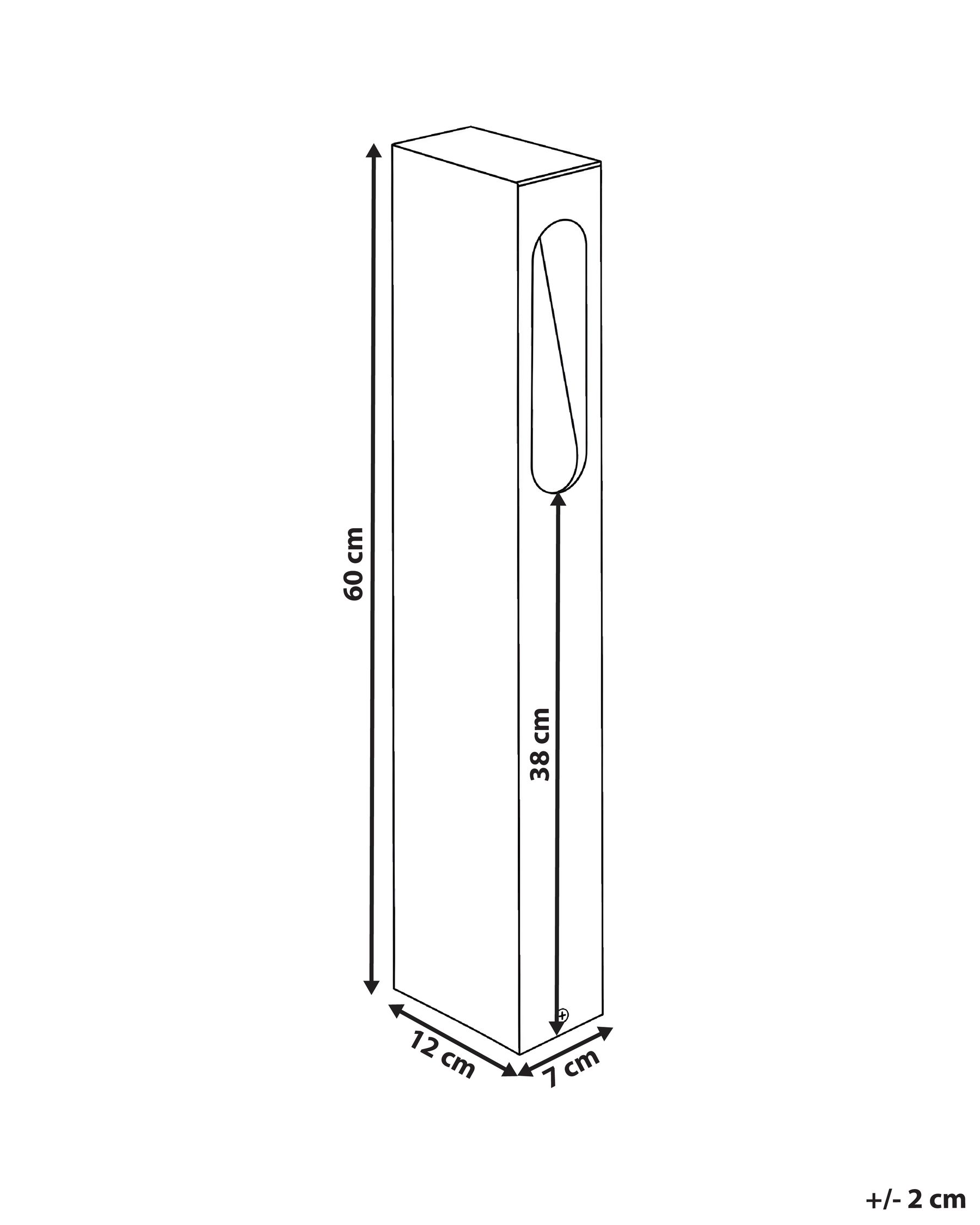 LED Pollerleuchte ASNEIRO Schwarz_1105379