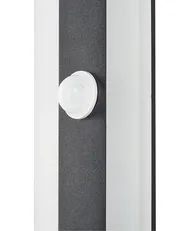 Outdoor LED Wall Light SAVANE with Motion Sensor Black_866463