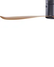 Ceiling Fan MALAD with Remote Black_861555