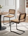 Esszimmerstuhl 2er Set CORDOVA Rattan Braun