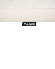 Set mit 2 Stühlen und Sitzkissen AMANTEA PREMIUM Akazienholz Hellbeige_995119