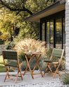 Gartenstuhl 2er Set PROSSEDI klappbar Akazienholz Grün