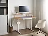 Electric Adjustable Standing Desk WILBANKS 120 cm x 60 cm with USB Port Light Brown/ White