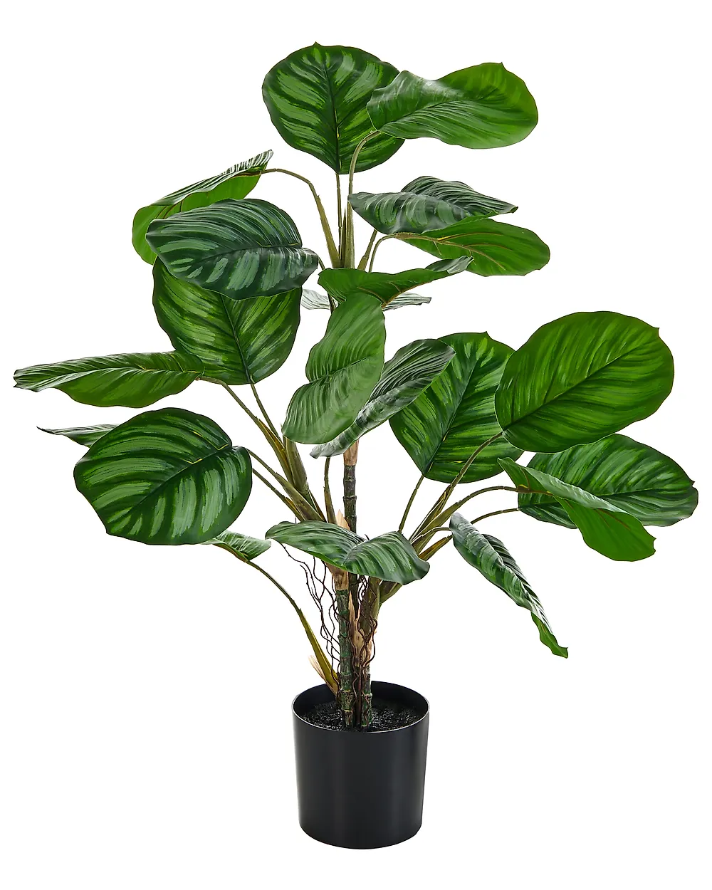Kunstpflanze CALATHEA 78 cm Grün